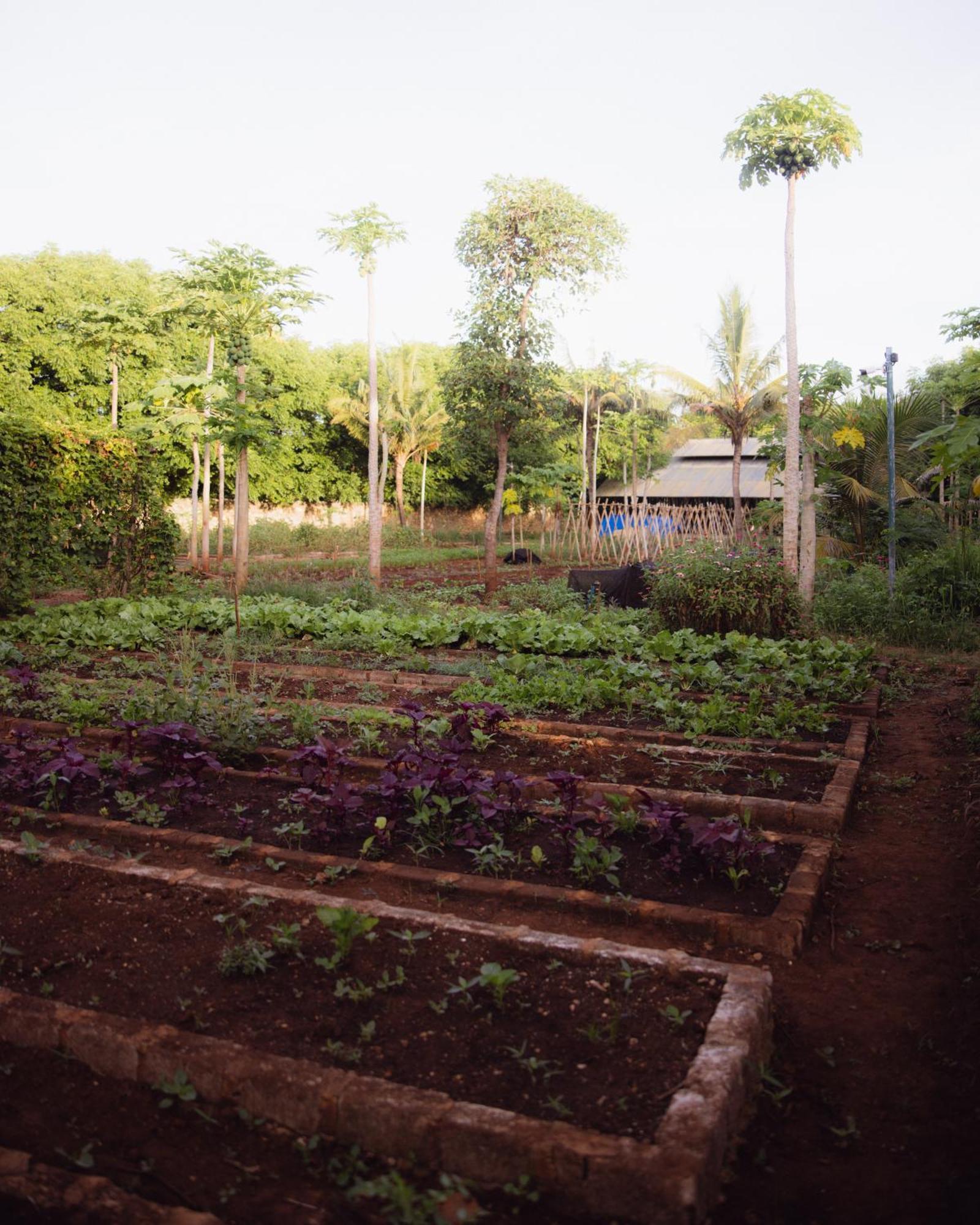 Maringi Sumba By The Sumba Hospitality Foundation Waikelo Extérieur photo